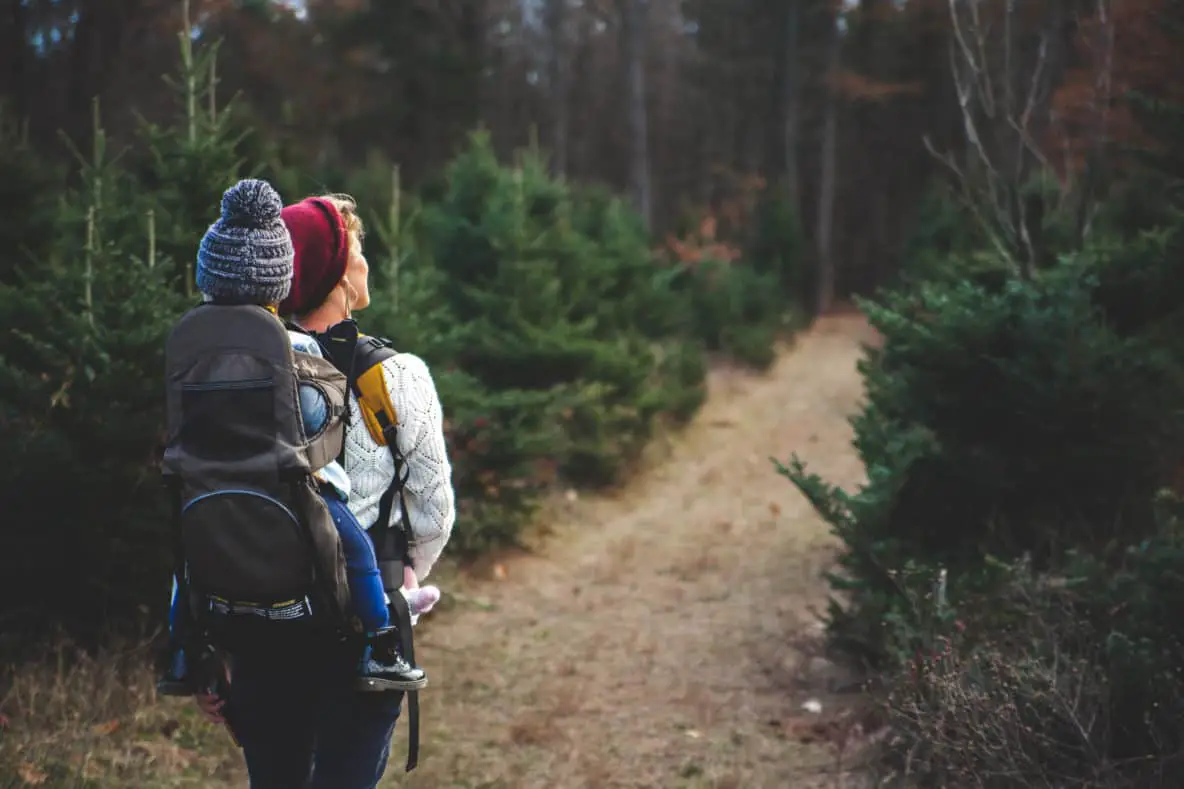 bushwalking baby carrier