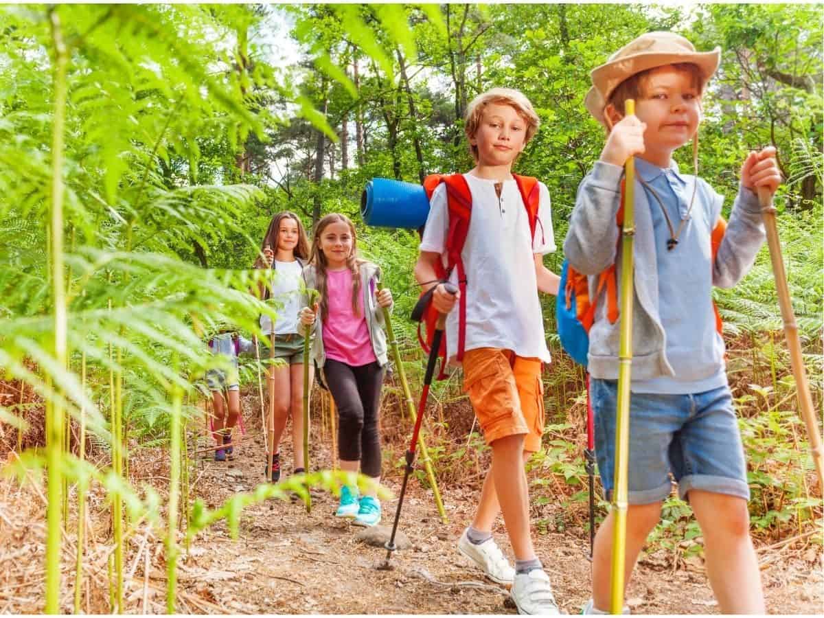 Hiking Sticks For Kids To Increase Endurance - Kids Can Hike