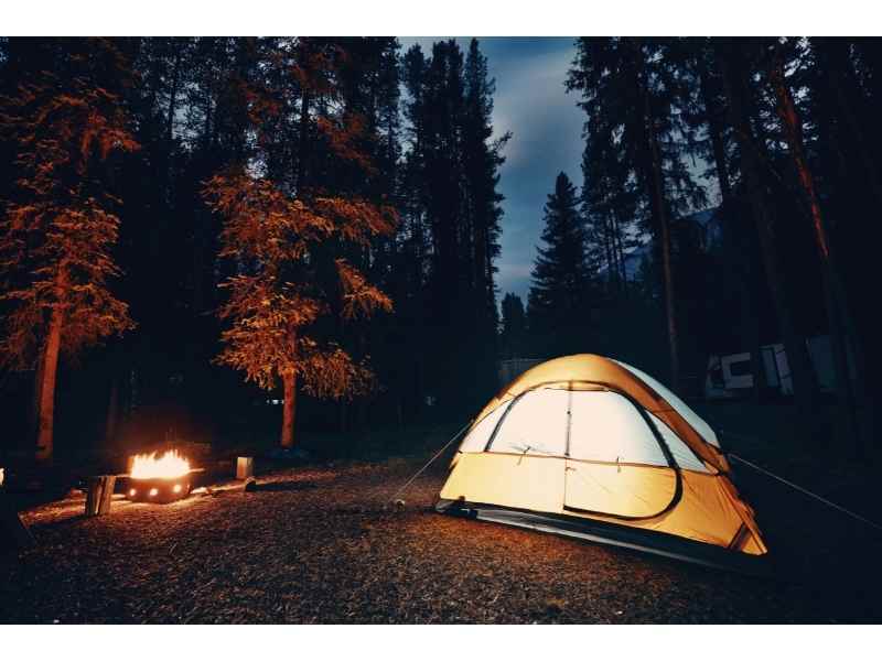 Can You Camp Anywhere In A State Forest Kids Can Hike