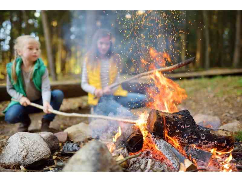 can-you-camp-anywhere-in-a-state-forest-kids-can-hike